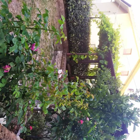 Il Borghetto Srl Apartment Altino (Abruzzo)