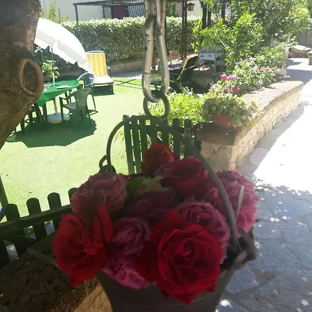 Il Borghetto Srl